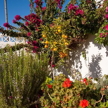 Casa Sorisso - Pool, Jacuzzi, Sauna Holiday home Sao Bartolomeu de Messines