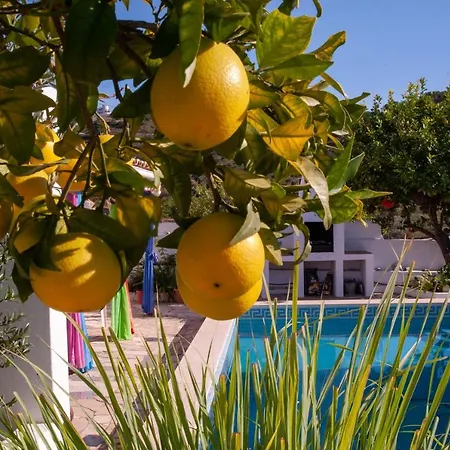 Casa Sorisso - Pool, Jacuzzi, Sauna * São Bartolomeu de Messines